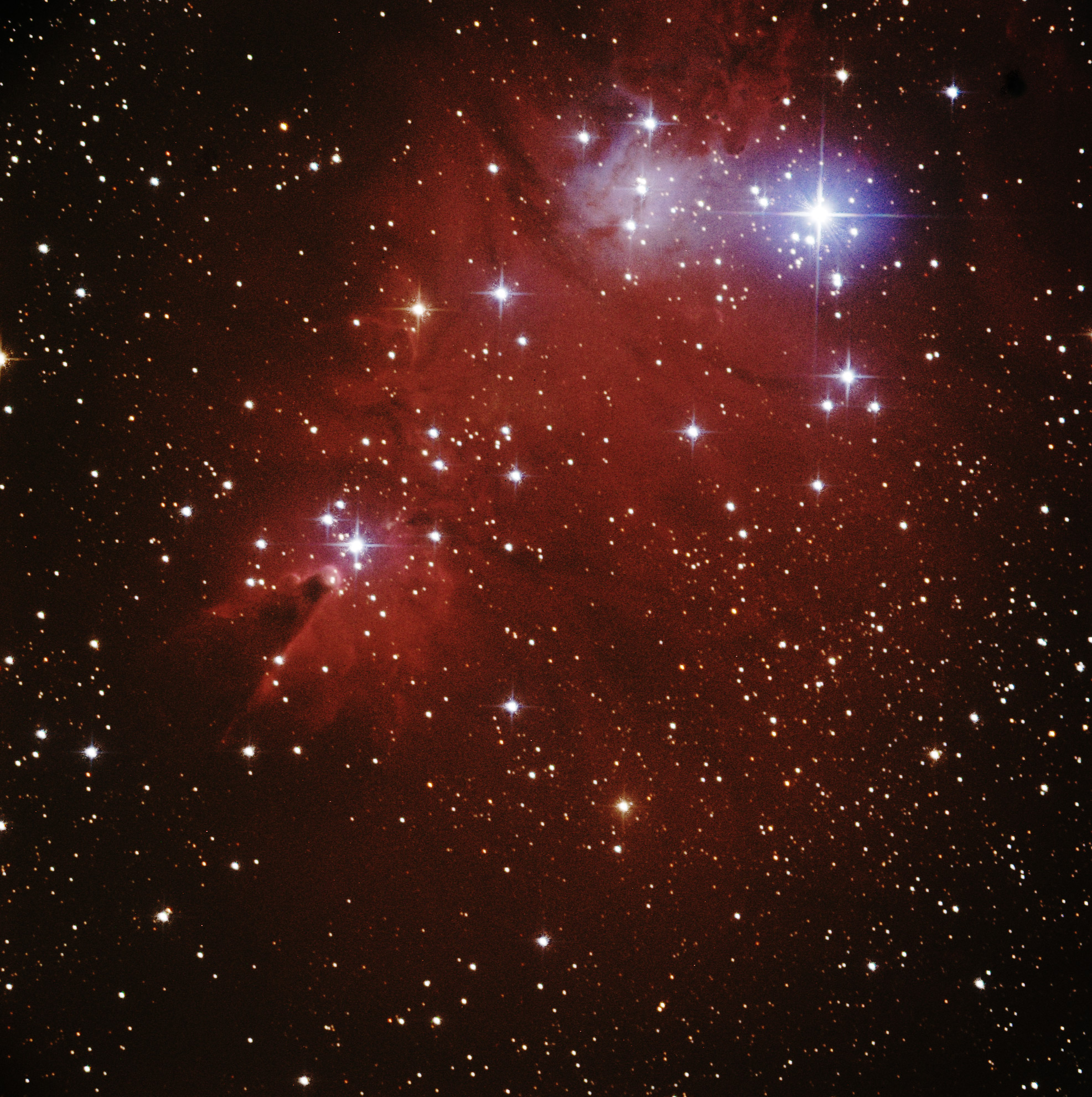 blog-image